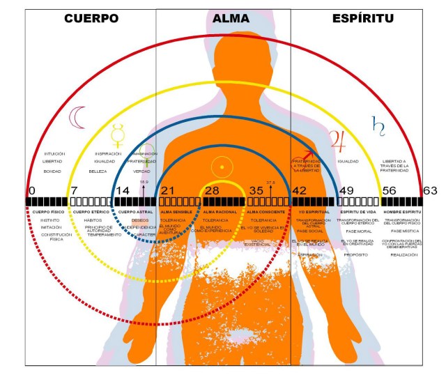 Los septenios en el hombre
